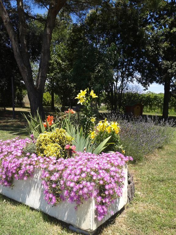 Vila Valle Rillo Agriturismo Comacchio Exteriér fotografie