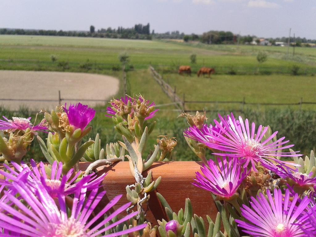 Vila Valle Rillo Agriturismo Comacchio Exteriér fotografie