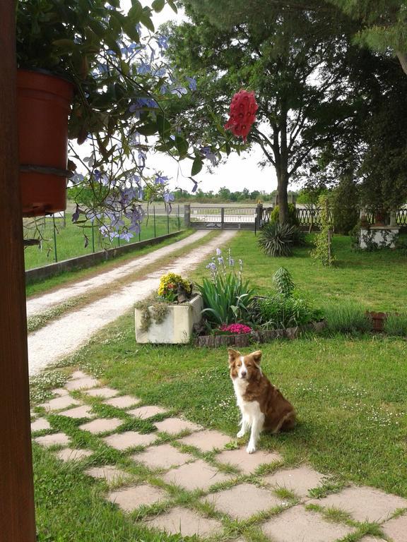 Vila Valle Rillo Agriturismo Comacchio Exteriér fotografie