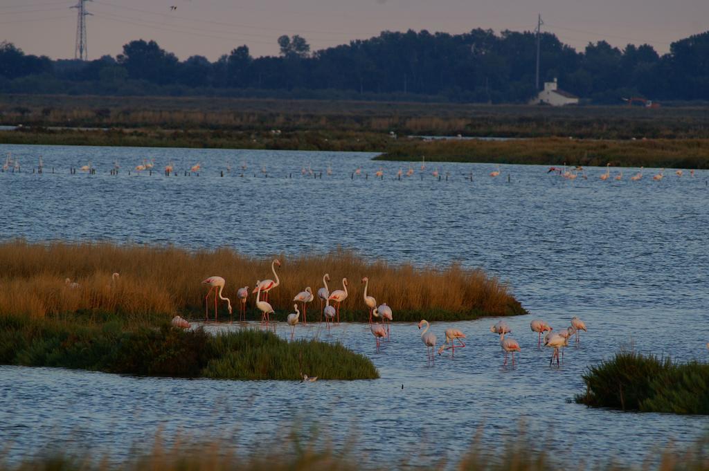 Vila Valle Rillo Agriturismo Comacchio Exteriér fotografie