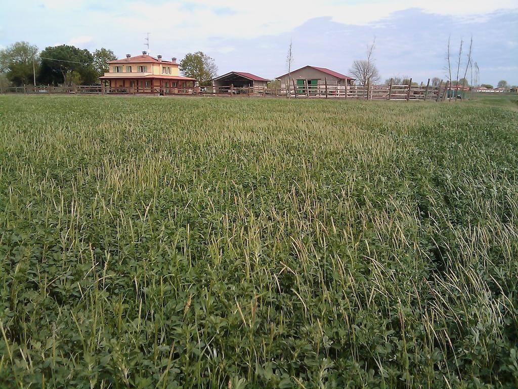 Vila Valle Rillo Agriturismo Comacchio Exteriér fotografie