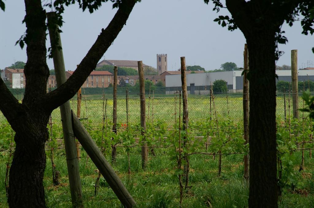 Vila Valle Rillo Agriturismo Comacchio Exteriér fotografie